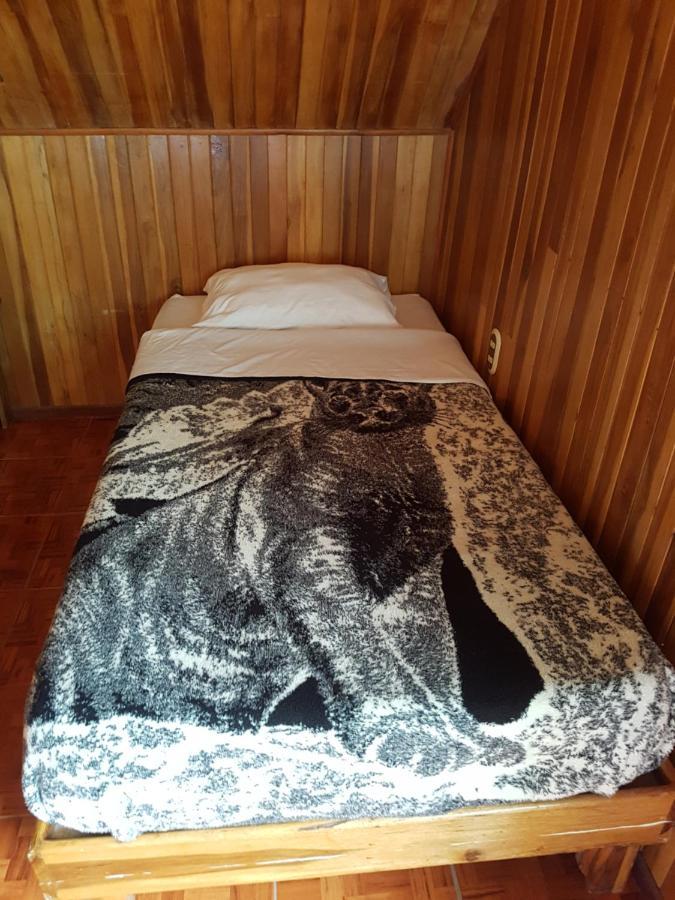Hostel Monteverde Backpackers Exteriér fotografie